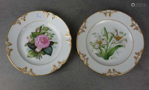 PAIR OF PLATES