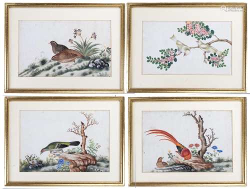 A set of four Chinese 19th century rice paper paintings