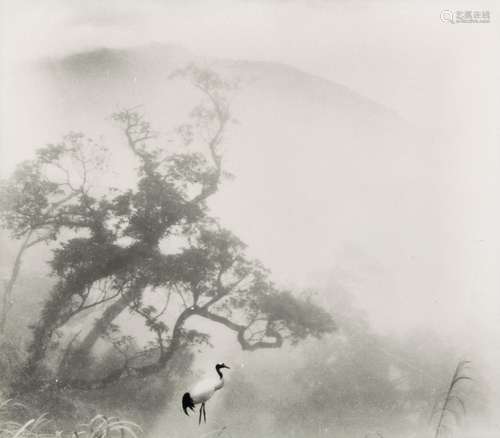 郎静山（1892～1995） 独鹤归何渚 银盐相纸 摄影