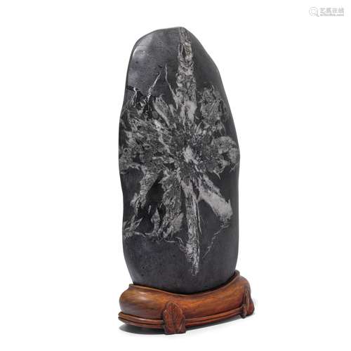 A Porphyry or limestone black and white 'chrysanthemum stone...