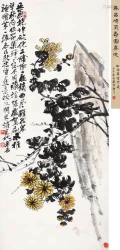 吴昌硕（1844～1927） 1916年作 菊石图 立轴 设色纸本