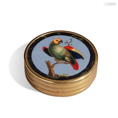 Parrot micromosaic, Neoclassical period