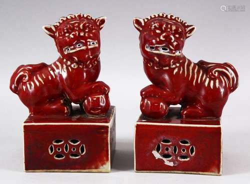 A PAIR OF CHINESE COPPER RED PORCELAIN LION DOG FIGURES - th...