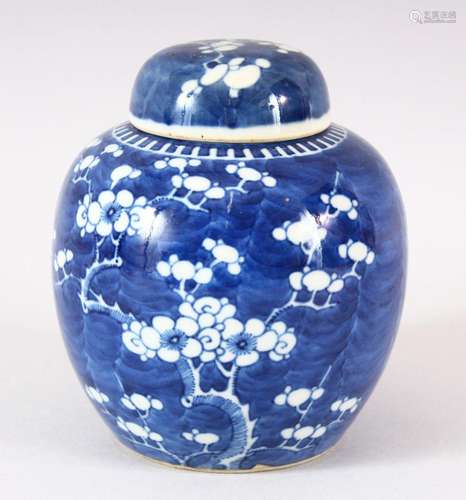 A 19TH CENTURY CHINIESE BLUE & WHITE PORCELAIN PRUNUS JA...