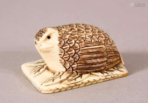 A JAPANESE CARVED IVORY NETSUKE OF A RECUMBENT QUAIL - seate...