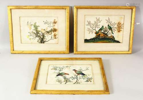 A SET OF THREE CHINESE PITH PAINTINGS, each depicting exotic...