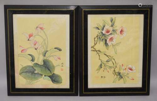 TWO GOOD CHINESE PAINTINGS, each depicting flora, signed and...