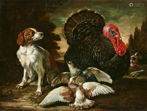 David de Coninck, A Turkey, Two Dogs and Two Pigeons in Fron...