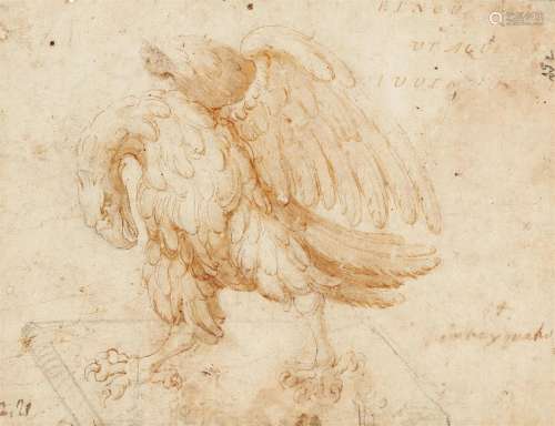 Paul Juvenel, attributed to, Study for an Eagle