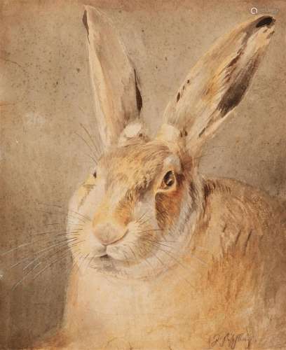 Johann Fischbach, Hare