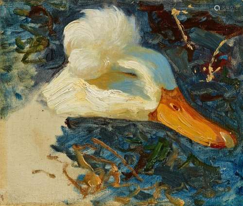 Alexander Koester, Study of a Crested Duck's Head