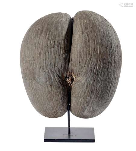 A LARGE NATURAL COCO DE MER