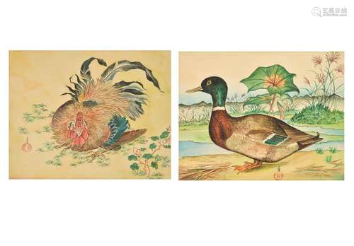 A pair of watercolor paintings depicting a rooster and a duc...