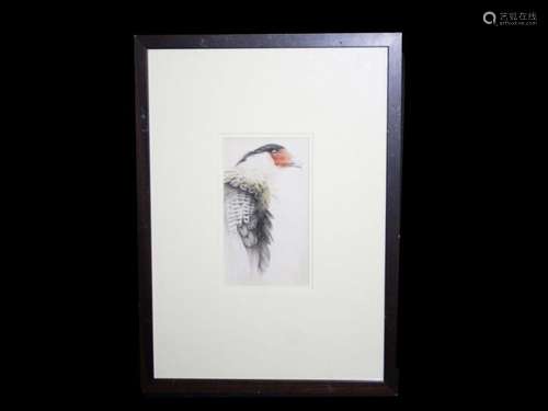 Watercolour Exotic Bird Painting For Islamic Market