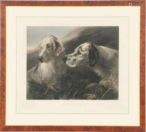 English color lithograph