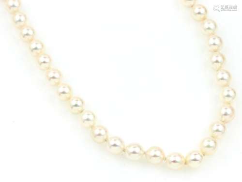 Cultured akoya pearls necklace with clasp in 14 kt gold