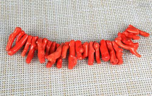 GROUP OF 25 RED CORAL