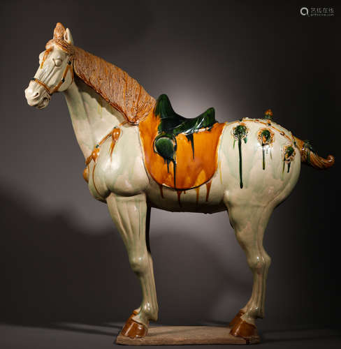 Tang Dynasty Three-Colored Pottery Horse