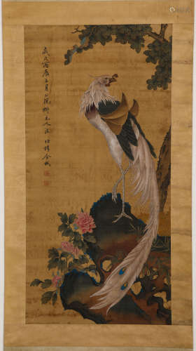 Chinese ink painting
Jincheng's Peacock