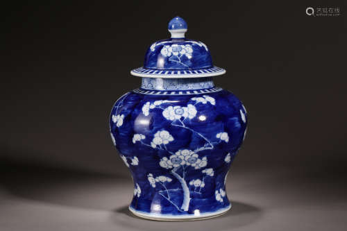 Qing Dynasty blue and white flower pot