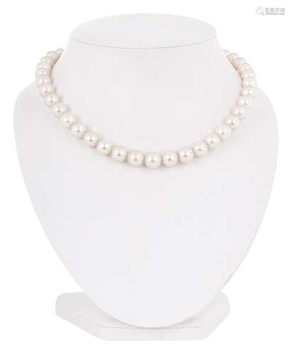 South Sea pearl necklace with modern carabiner clasp