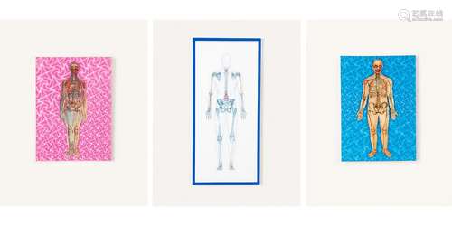 Collection of three anatomical lenticular prints