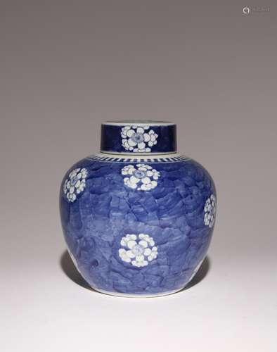 A CHINESE BLUE AND WHITE OVOID VASE AND COVER QING DYNASTY P...