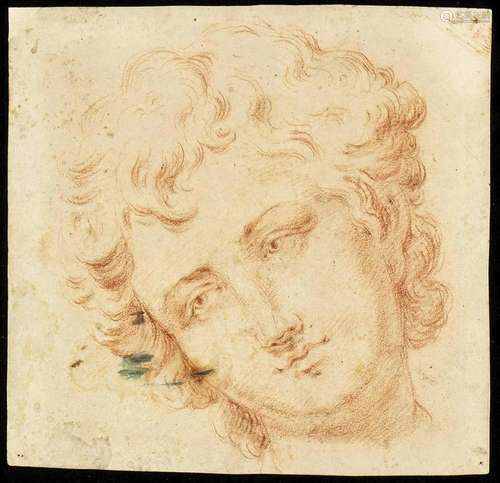 BOLOGNESE ARTIST, 18th CENTURY: Study for a boy's head