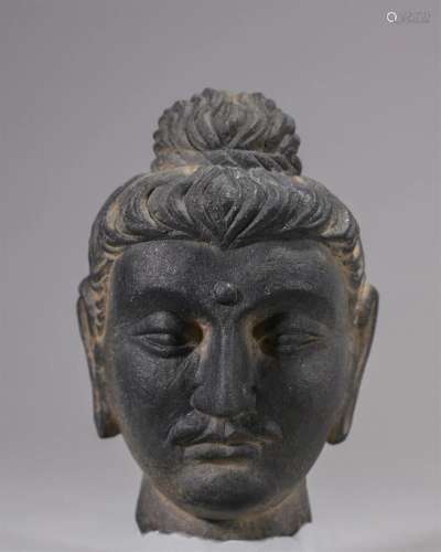 Buddha Head in Gandharan Style