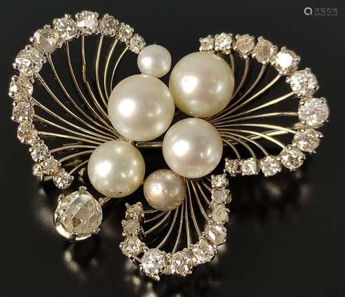 Delicate brooch with pearls and 36 diamonds, shape…