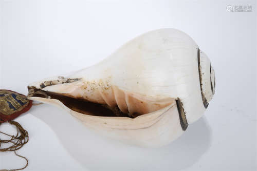 A White Dharma Conch Implement for Rite.