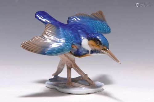 figurine, Rosenthal, around 1955, kingfisher, designed by