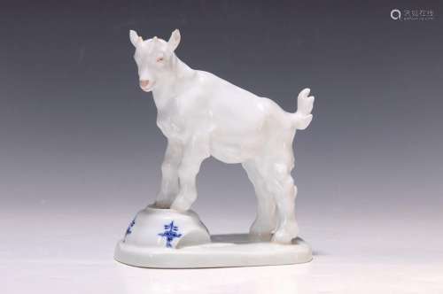 figurine, Meissen, Pfeiffer period, 1924-33, goat on