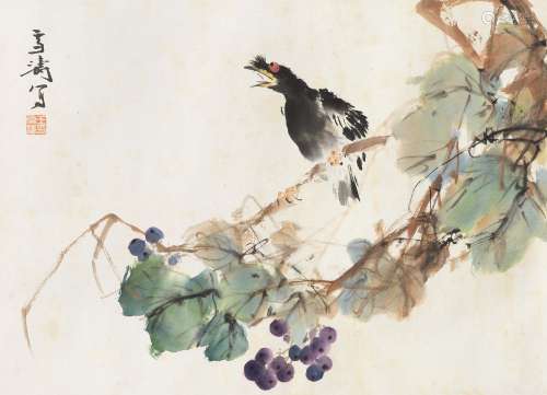 王雪涛（1903～1982） 葡萄八哥 镜心 设色纸本