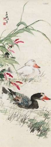 王雪涛（1903～1982） 双鸭 立轴 设色纸本