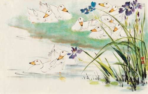 萧朗（1917～2010） 1964年作 鸢尾白鸭图 镜心 设色纸本
