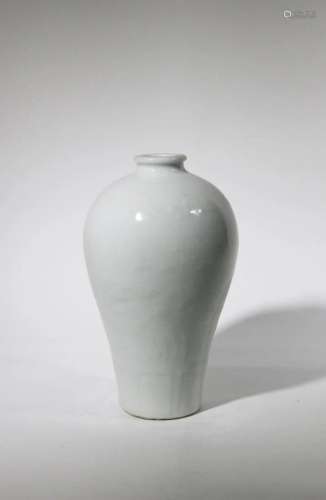 WHITE GLAZED FISH AND WEED ENGRAVED MEIPING VASE