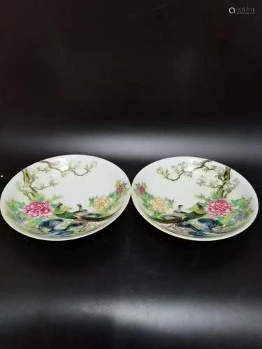 PAIR PLATES WITH BIRD AND FLOWER DESIGN IN ENAMEL