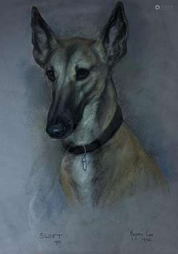 Marjorie Cox (1915-2003), pastel, Portrait of a dog, signed ...