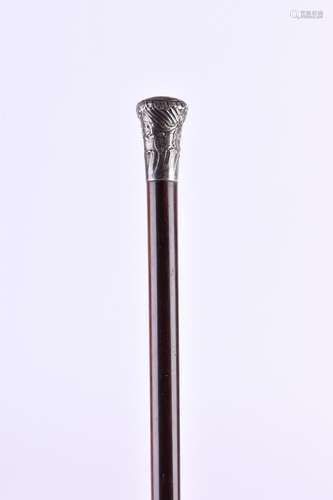 Gehstock um 1900 | Walking stick around 1900