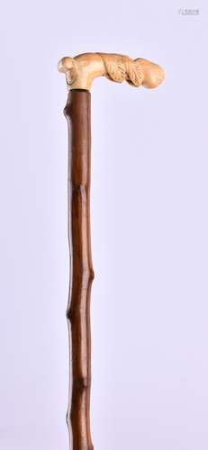 Gehstock um 1900 | Walking stick around 1900