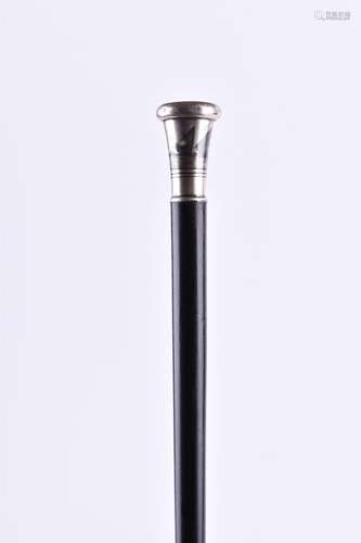 Gehstock um 1900 | Walking stick around 1900