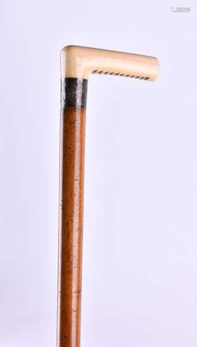 Gehstock China um 1900 | Walking stick China around 1900