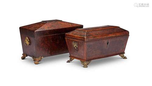 Two Regency thuya wood tea caddies