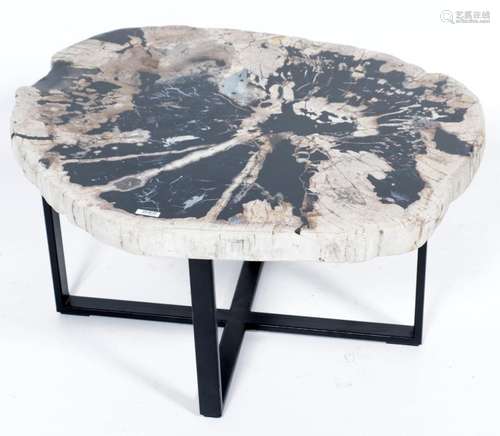 Wooden tree turend to stone on a metal base as a coffee tabl...