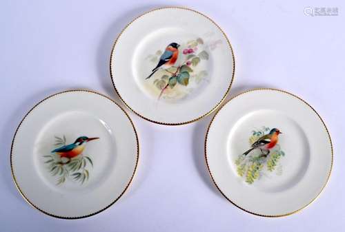 Royal Worcester set of three plates painted with titled bird...