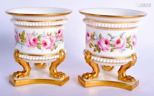 Royal Worcester fine pair of vase in 18th century Worcester ...