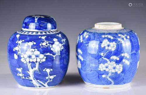 Two Blue and White Jars, Qing