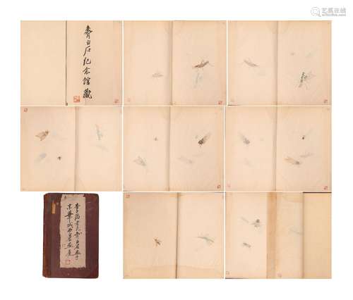 A Chinese Painting Album of Insects