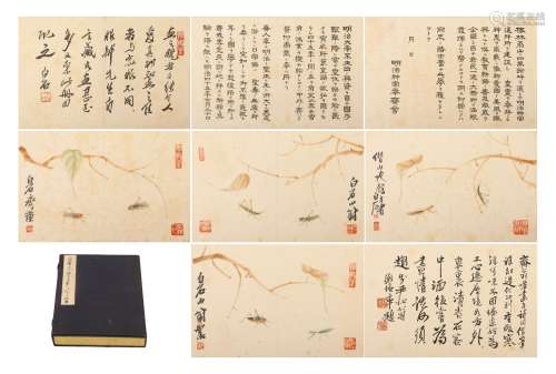 A Chinese Painting Album of Insects